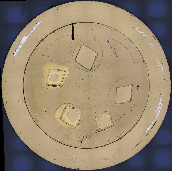 Flower Pattern Arrangement